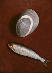 Fish and Rock Form